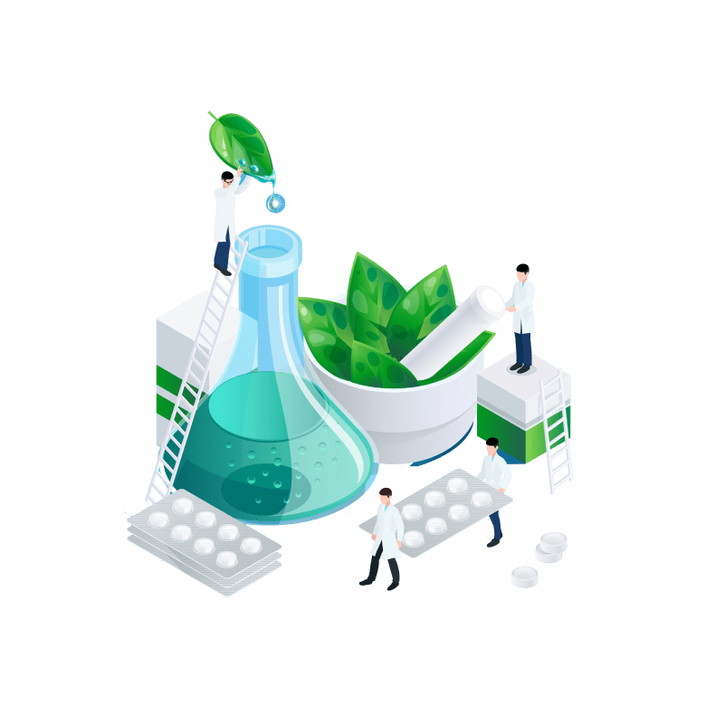 ICE Gate services - product development